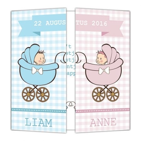 Twee leuke baby's op geboortekaartje Tweeling; 1 baby aan beide kanten van het drieluikskaartje.