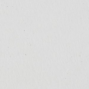 environment-birch-jubileumkaart